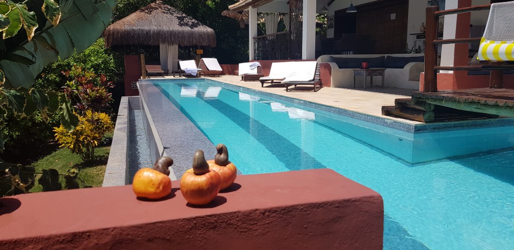 Casa Paloma